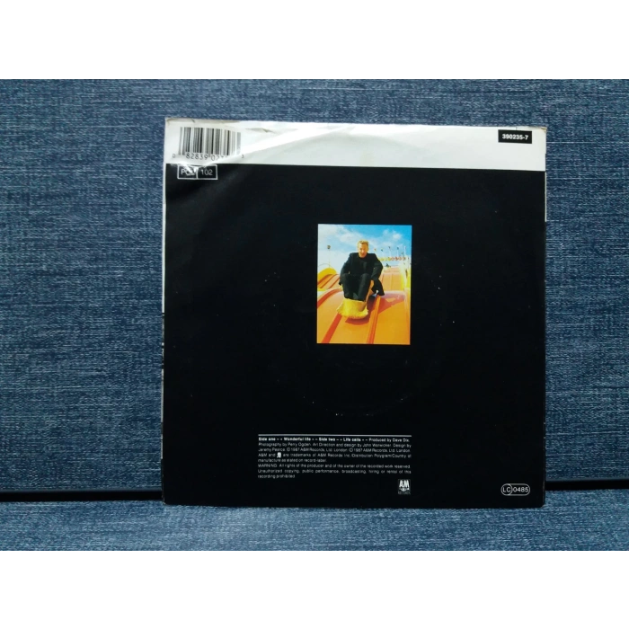 BLACK WONDERFUL LIFE