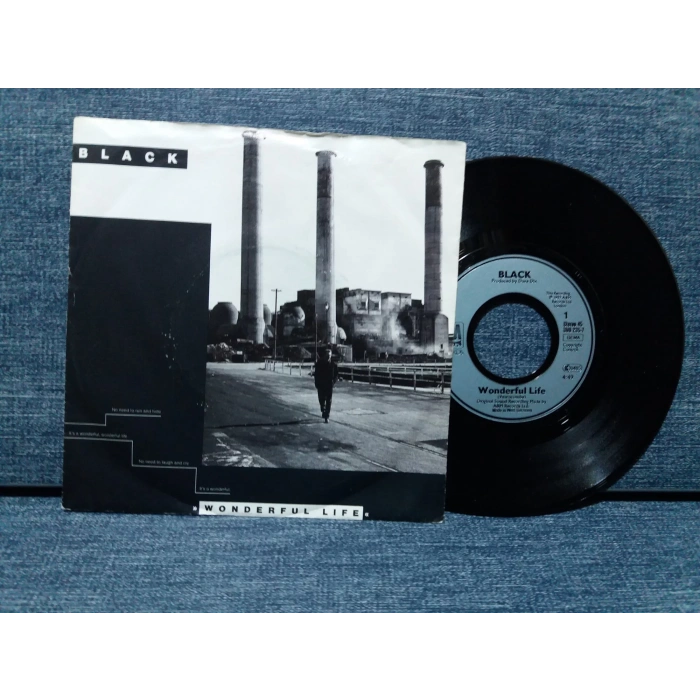 BLACK   WONDERFUL LIFE