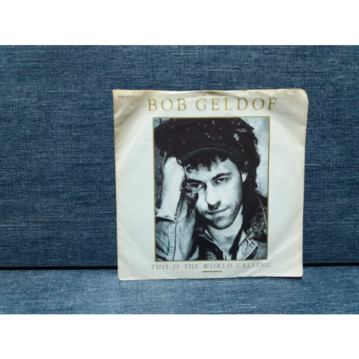 BOB GELDOF THIS IS THE WORLD CALLING