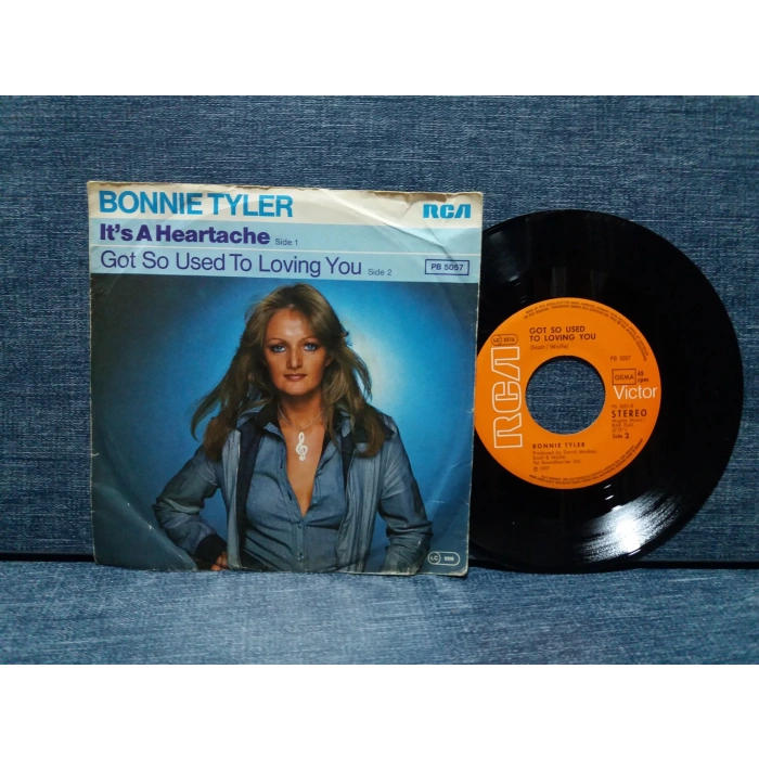 BONNIE TYLER GOT SO USED TO LOVING YOU