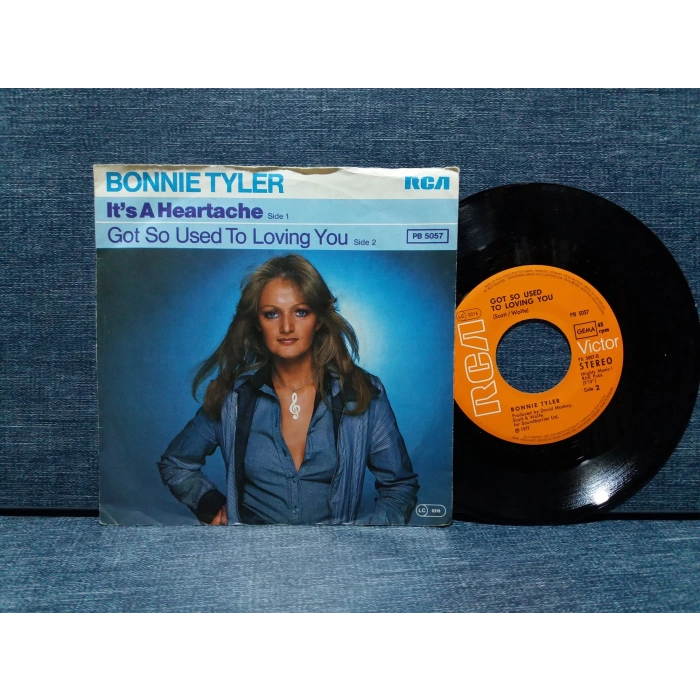 BONNIE TYLER GOT SO USED TO LOVING YOU