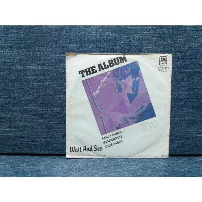 BRYAN ADAMS HIDIN FROM LOVE