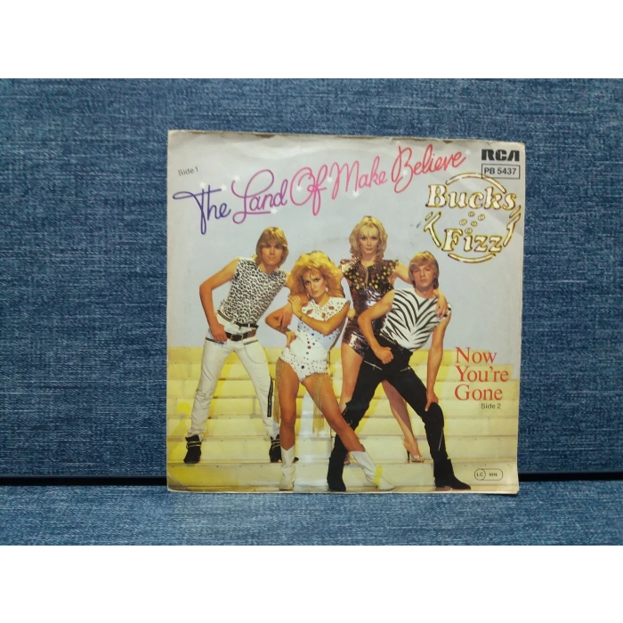 BUCKS FIZZ MAKING YOUR MIND UP  GONE