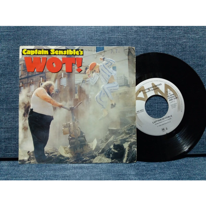 CAPTAIN SENSIBLE WOT