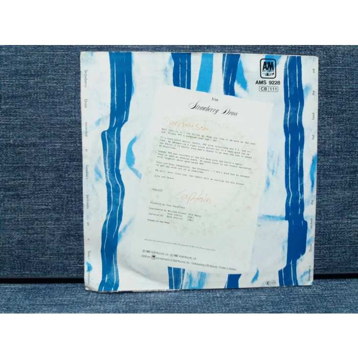 CAPTAIN SENSIBLE WOT