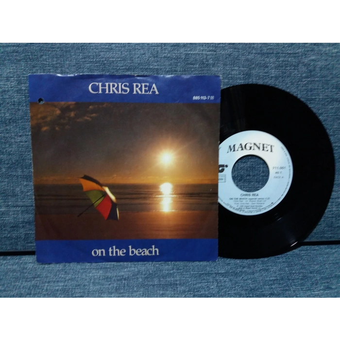 CHRIS REA ON THE BEACH