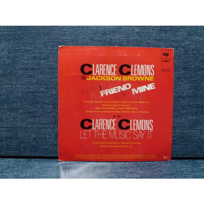 CLARENCE CLEMONS JACKSON BROWNE