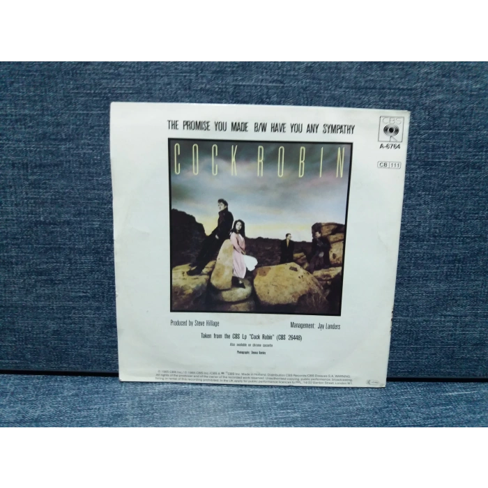 COCK ROBIN PROMISE YOU MADE