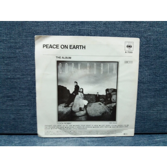 COCK ROBIN THOUGHT YOU WERE ON MY SIDE