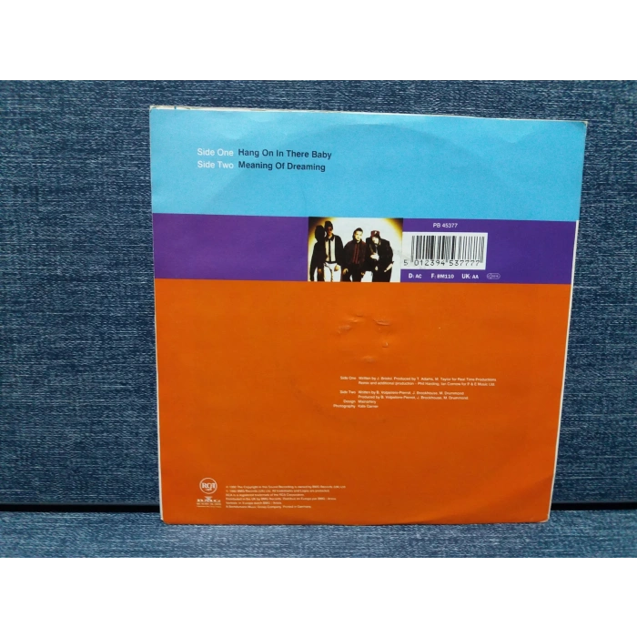 CURIOSITY HANG ON IN THERE BABY