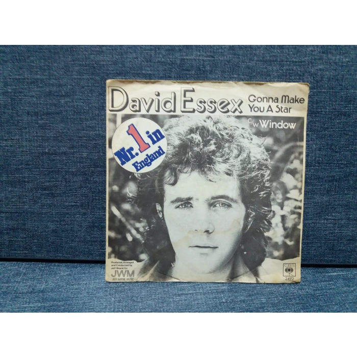 DAVID ESSEX GONNA MAKE YOU A STAR - WINDOW
