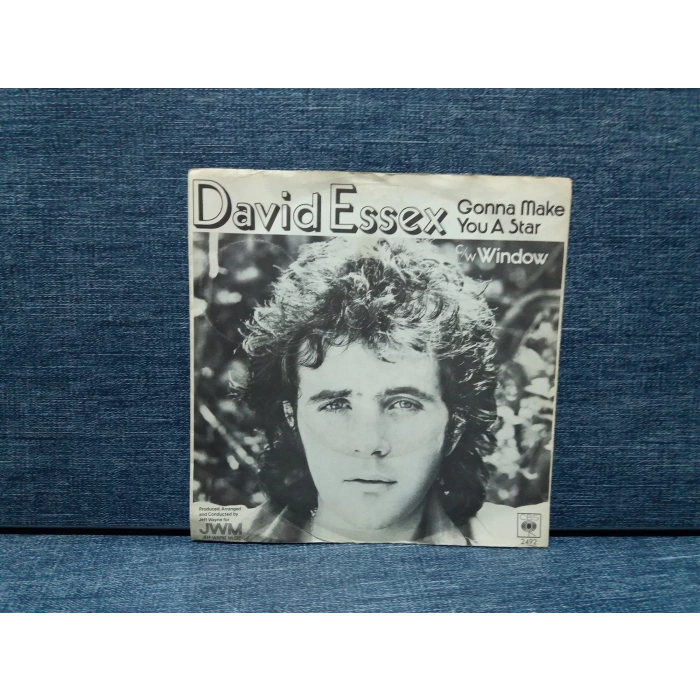 DAVID ESSEX GONNA MAKE YOU A STAR - WINDOW