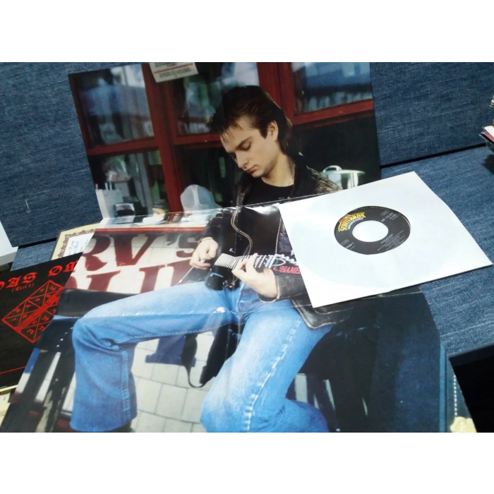 DAVID HALLYDAY MOVE  ( POSTER KAPAK )