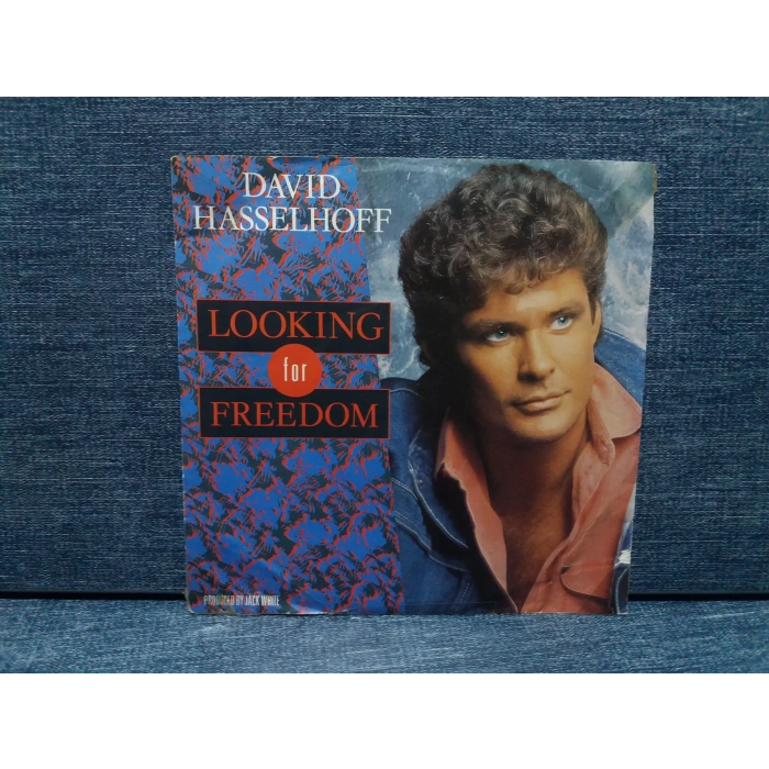 DAVID HASSELHOFF FREEDOM
