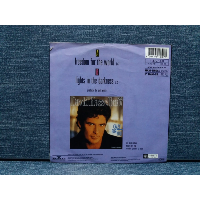 DAVID HASSELHOFF FREEDOM WORLD