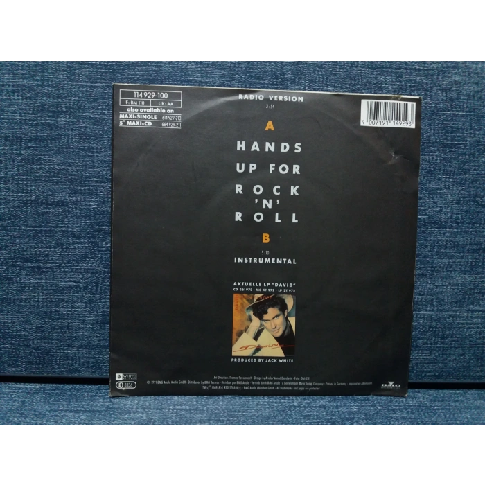 DAVID HASSELHOFF HANDS UP FOR