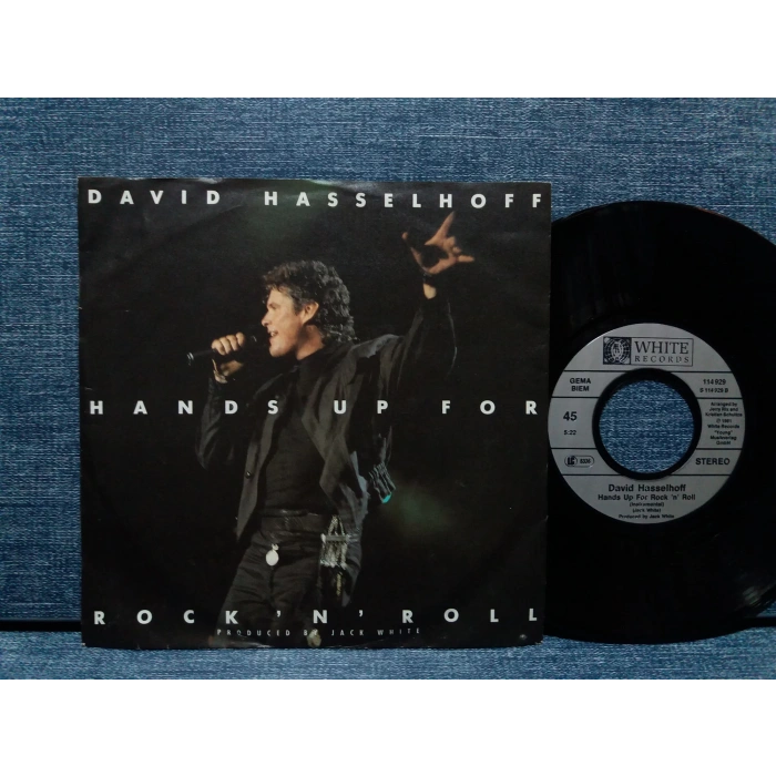 DAVID HASSELHOFF HANDS UP FOR