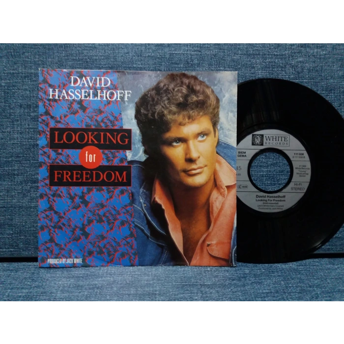 DAVID HASSELHOFF LOOKING