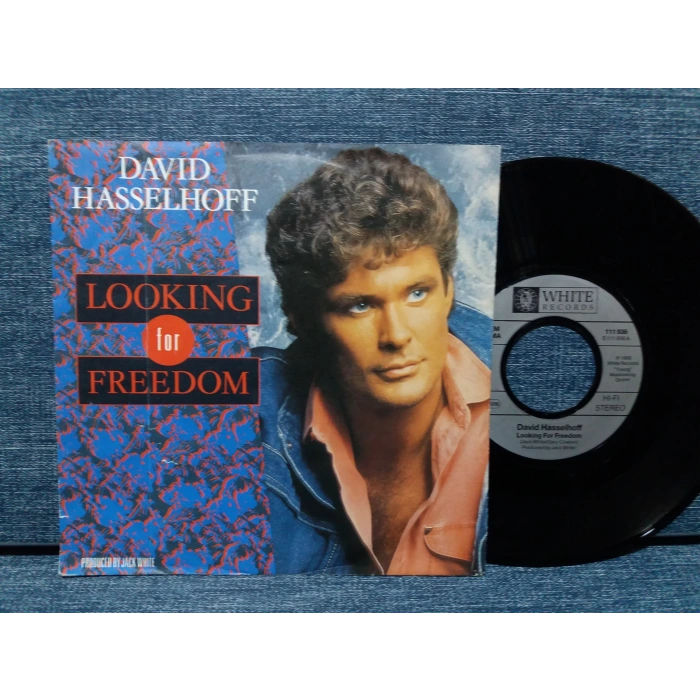 DAVID HASSELHOFF LOOKING FOR FREEDOM