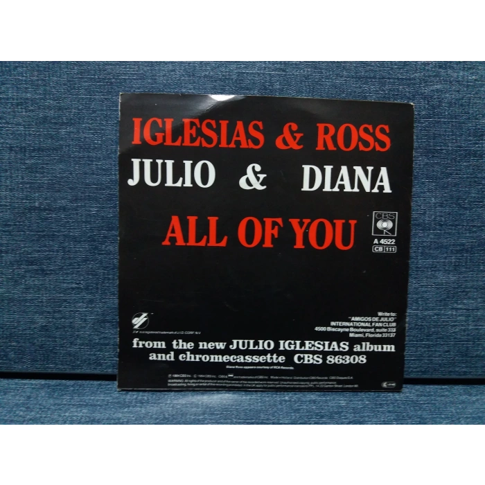 DIANA ROSS   -  JULIO IGLESIAS ALL OF YOU
