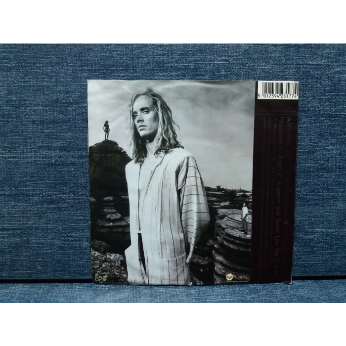 ELLIS BEGGS HOWARD WHERE DID TOMORROW