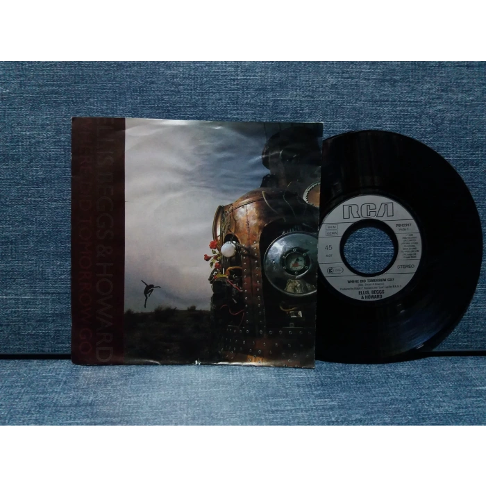 ELLIS BEGGS HOWARD WHERE DID TOMORROW