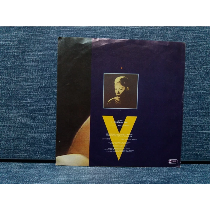 EURYTHMICS JULIA MINISTRY LOVE