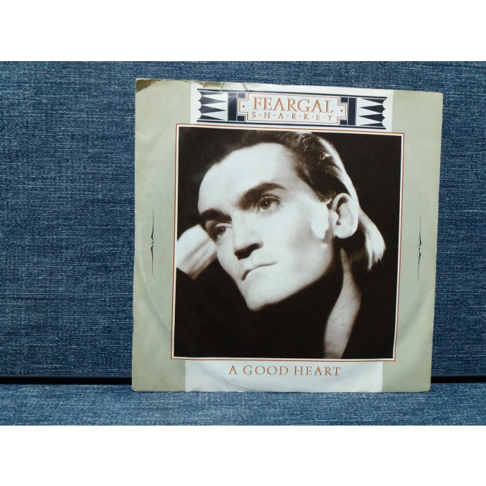 FEARGAL SHARKEY A GOOD HEART ANGER HOLY
