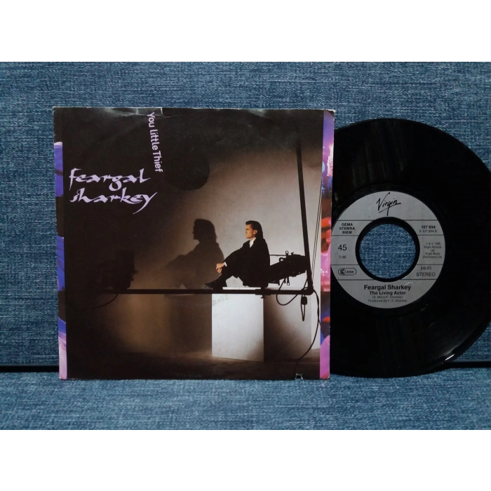 FEARGAL SHARKEY YOU LITTLE THIEF