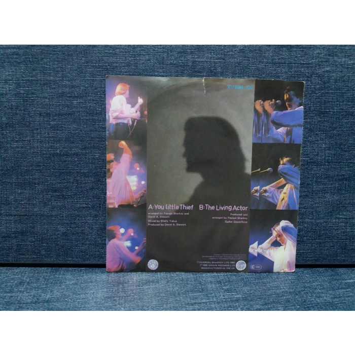 FEARGAL SHARKEY YOU LITTLE THIEF