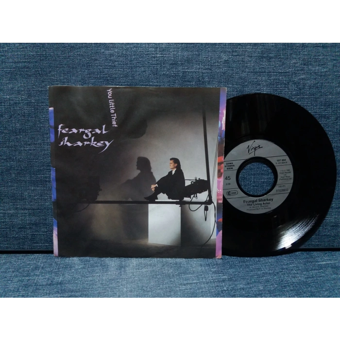 FEARGAL SHARKEY YOU LITTLE THIEF