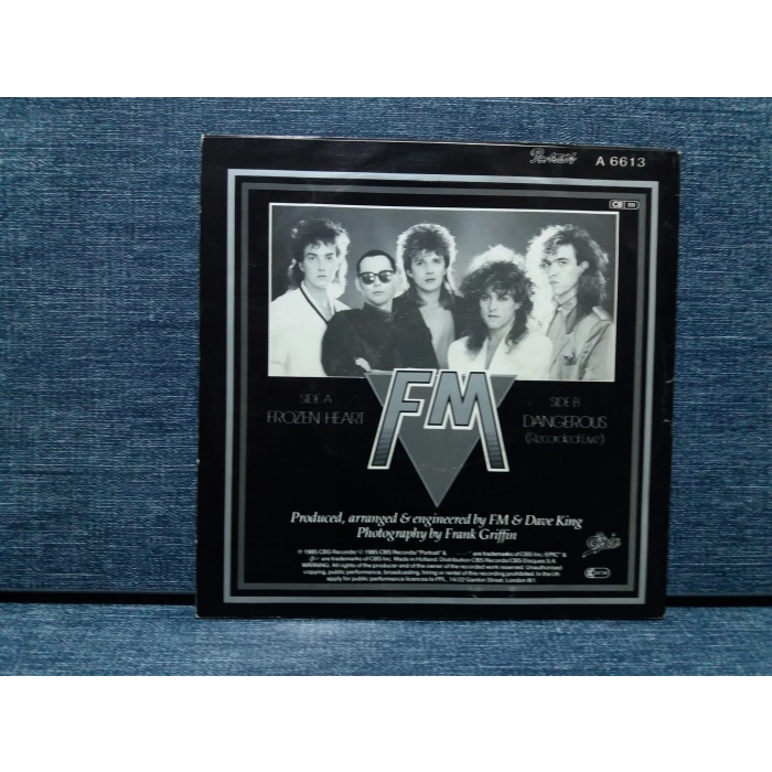 FM FROZEN HEART - DANGEROUS