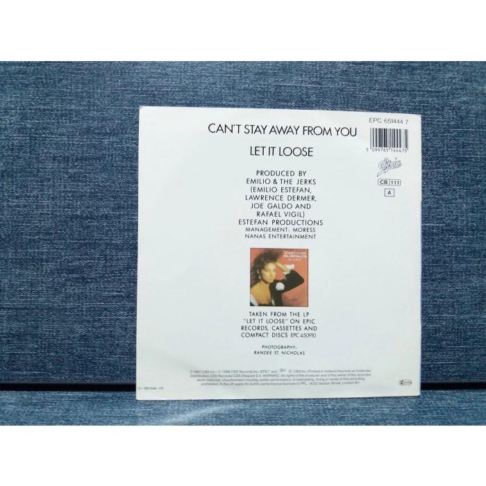 GLORIA ESTEFAN CANT STAY AWAY FROM YOU