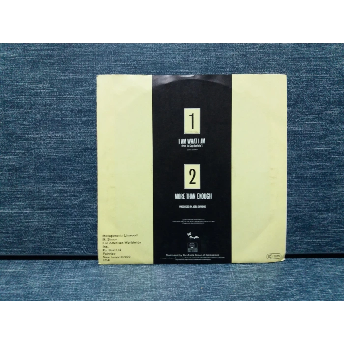 GLORIA GAYNOR I AM WHAT I AM