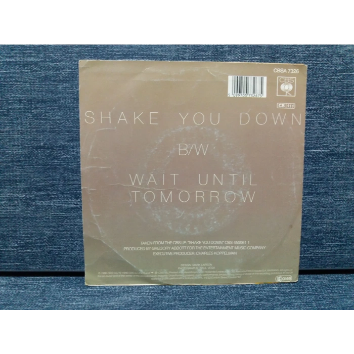 GREGORY ABBOTT SHAKE YOU