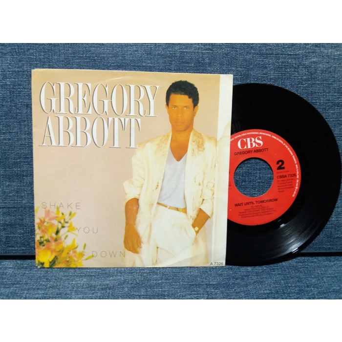 GREGORY ABBOTT SHAKE YOU
