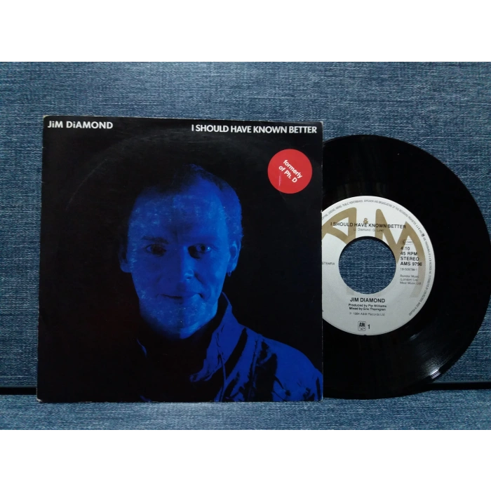 JIM DIAMOND I SHOULD HAVE KNOWN BETTER