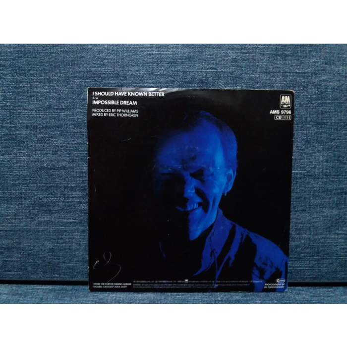 JIM DIAMOND I SHOULD HAVE KNOWN BETTER