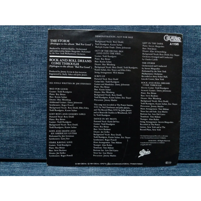 JIM STEINMAN THE STORM