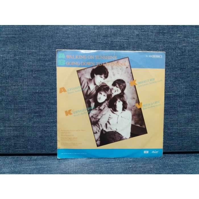 KATRINA AND THE WAVES WALKING ON SUNSHINE