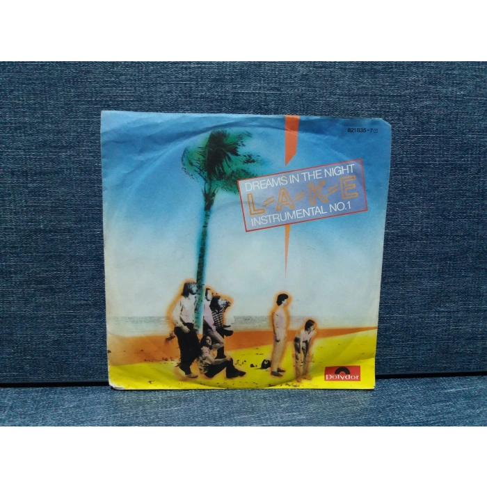 LAKE DREAMS IN THE NIGHT