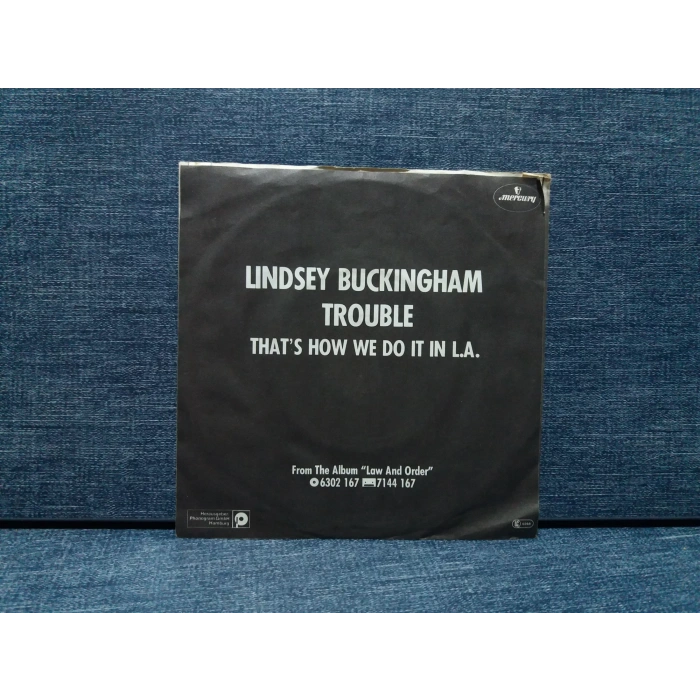 LINDSEY BUCKINGHAM TROUBLE