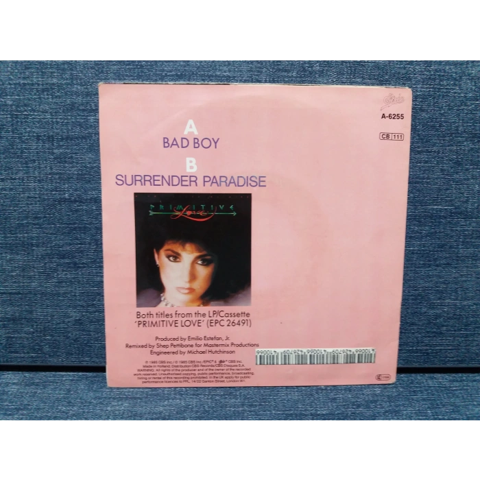 MIAMI SOUND GLORIA ESTEFAN BAD BOY