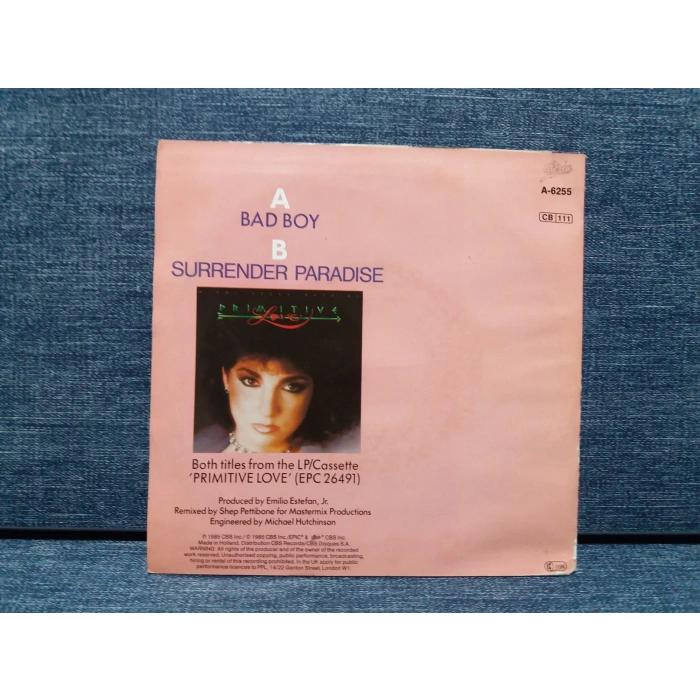 MIAMI SOUND GLORIA ESTEFAN BAD BOY REMIX