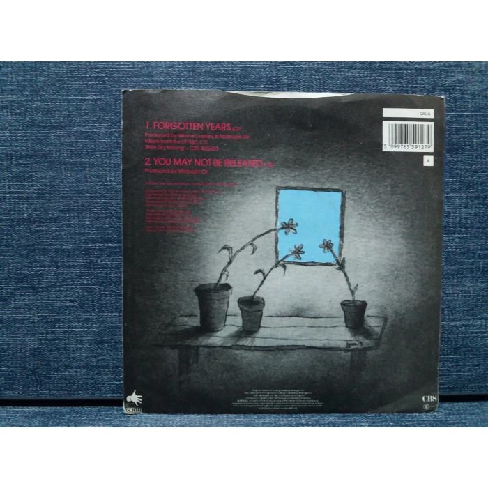 MIDNIGHT OIL FORGOTTEN YEARS