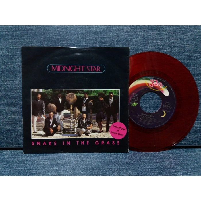 MIDNIGHT STAR SNAKE IN THE GRASS  (RENKLİ PLAK)