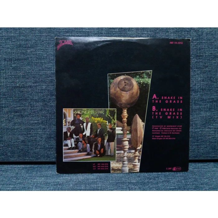 MIDNIGHT STAR SNAKE IN THE GRASS  (RENKLİ PLAK)
