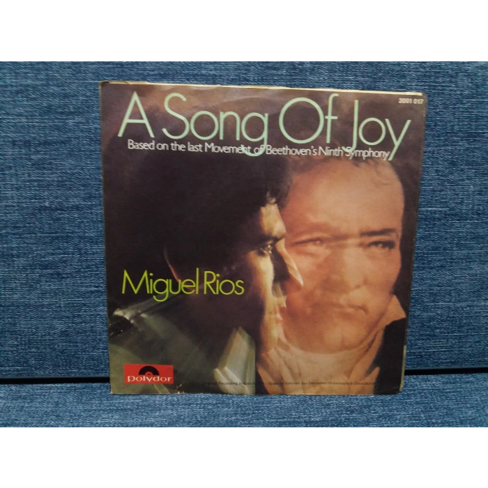 MIGUEL RIOS A SONG OF JOY