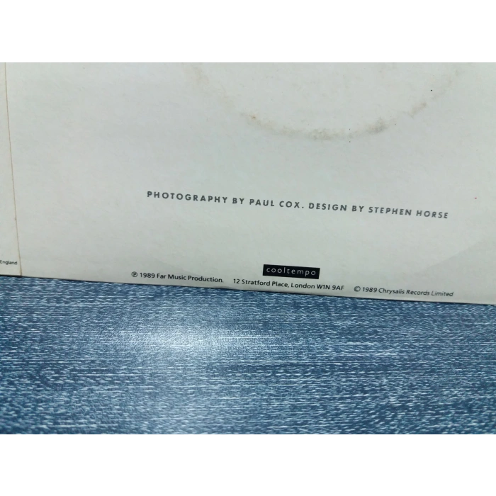 MILLI WANILLI GIRL I M GONNA MISS YOU  ( england top copy )