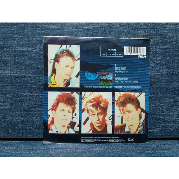 MR MISTER BROKEN WINGS